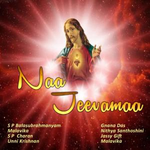 Listen to Nee Dehamu Dhanamu song with lyrics from Nithya Santhoshini