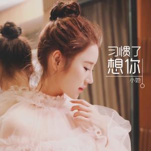 收听小她的习惯了想你歌词歌曲