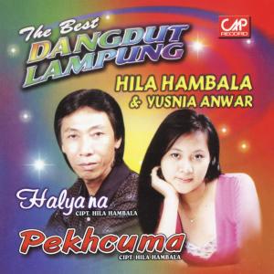 Album The Best Dangdut Lampung from Hila Hambala