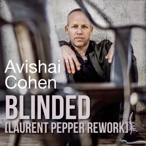 ดาวน์โหลดและฟังเพลง Blinded (Laurent Pepper Rework) พร้อมเนื้อเพลงจาก Avishai Cohen Trio