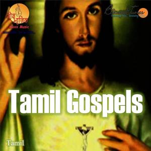 Listen to Christmas Wandaam song with lyrics from Mannu