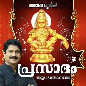 Listen to Sreedhajana Palani song with lyrics from Raveena