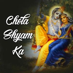 ดาวน์โหลดและฟังเพลง Patta Patta Shyam พร้อมเนื้อเพลงจาก Kaishav Sharma