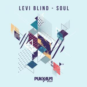Album Soul from Levi Blind