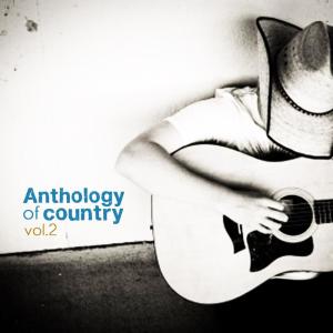 Various Artists的專輯Anthology of Country Vol. 2