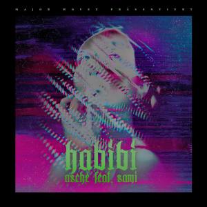 Dengarkan lagu Habibi nyanyian Asche dengan lirik