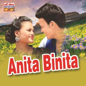 ดาวน์โหลดและฟังเพลง Anita Binita พร้อมเนื้อเพลงจาก Various Artists