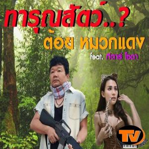 Listen to ทารุณสัตว์ song with lyrics from ต้อย หมวกแดง