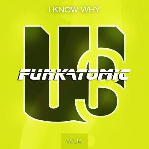 收聽Funkatomic的I Know Why歌詞歌曲