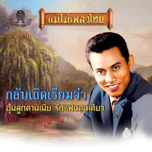 ดาวน์โหลดและฟังเพลง กลับเถิดเรียมจ๋า พร้อมเนื้อเพลงจาก เมืองมนต์ สมบัติเจริญ