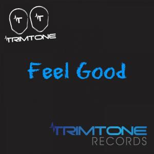 Listen to Feel Good song with lyrics from Trimtone