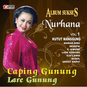 Dengarkan lagu Sripat Sripit nyanyian Nurhana dengan lirik