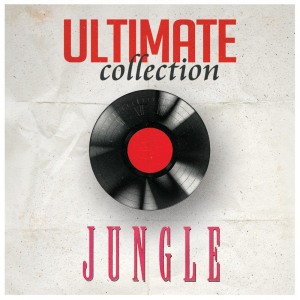 ดาวน์โหลดและฟังเพลง Holding You Now พร้อมเนื้อเพลงจาก Jungle
