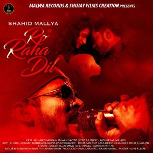 收听Shahid Mallya的Ro Raha Dil歌词歌曲