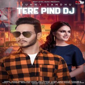 Dengarkan lagu Tere Pind DJ nyanyian Sunny Sandhu dengan lirik
