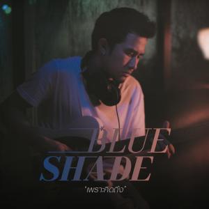 อัลบัม เพราะคิดถึง [Instrumental] ศิลปิน Blue Shade