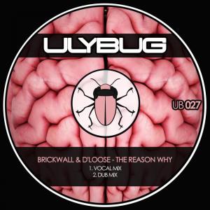 ดาวน์โหลดและฟังเพลง The Reason Why (Dub Mix) พร้อมเนื้อเพลงจาก Brickwall