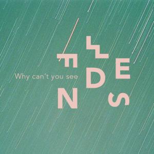 ดาวน์โหลดและฟังเพลง Why Can't You See พร้อมเนื้อเพลงจาก FWENDS
