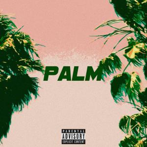 收听Asset的Palm歌词歌曲
