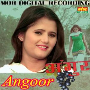 Listen to Daka song with lyrics from TR