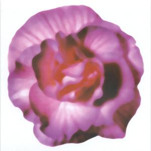 收听AboutPop的ไม่มีใครสำคัญ歌词歌曲