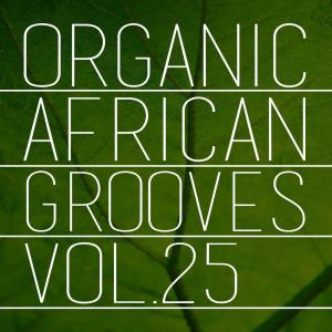 Album Organic African Grooves, Vol.25 from Various