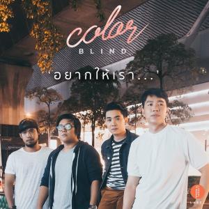 收听Color Blind的อยากให้เรา歌词歌曲