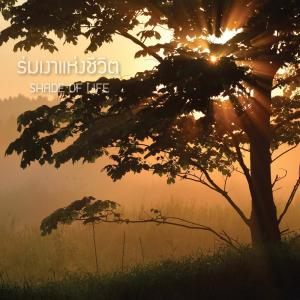 Listen to ร่มเงาแห่งชีวิต song with lyrics from Eve Jariya