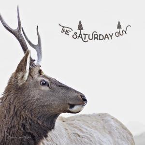 ดาวน์โหลดและฟังเพลง You Dont Need A Fool Like Me พร้อมเนื้อเพลงจาก The Saturday Guy