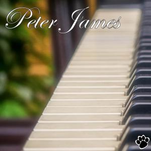 Dengarkan Overjoyed lagu dari Peter James dengan lirik