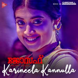 Listen to Karineela Kannulla Pennu (From "Joseph") song with lyrics from Ranjin Raj