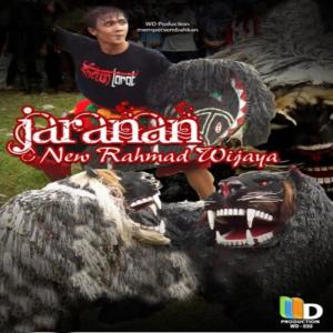 ดาวน์โหลดและฟังเพลง Atraksi Singo Arema Nagih Janji พร้อมเนื้อเพลงจาก Group Kesenian New Rahmat Wijaya