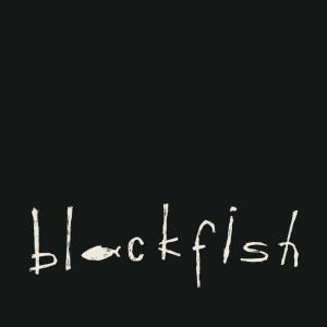 收聽blackfish的Hey Julie歌詞歌曲