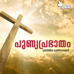 ดาวน์โหลดและฟังเพลง Kazhchayitha พร้อมเนื้อเพลงจาก Babu