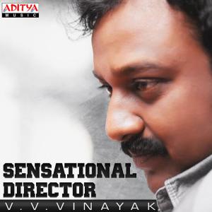 Album Sensational Director V.V. Vinayak from Various Artists