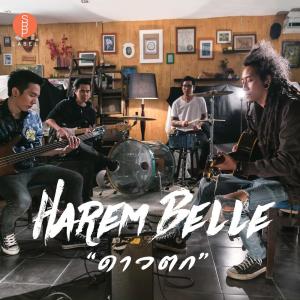 อัลบัม ดาวตก ศิลปิน Harem Belle