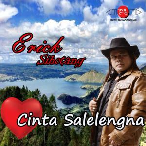Dengarkan lagu Tanda Mata Cinta nyanyian Ericks Sihotang dengan lirik