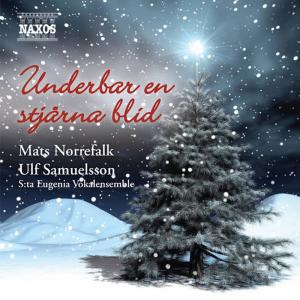 ดาวน์โหลดและฟังเพลง Have Yourself a Merry Little Christmas (arr. M. Norrefalk) พร้อมเนื้อเพลงจาก Krister Zackrisson