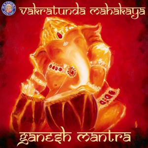 ดาวน์โหลดและฟังเพลง Vakratunda Mahakaya พร้อมเนื้อเพลงจาก Sanjivani Bhelande