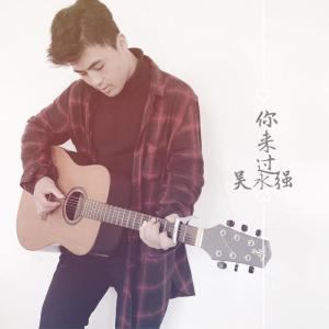 Listen to 你来过 (伴奏) song with lyrics from 吴永强