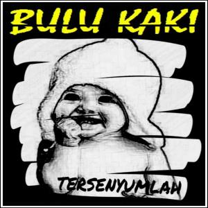 收聽BULU KAKI的Tersenyumlah歌詞歌曲