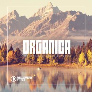 Dengarkan lagu Dancing With Elephants (Remix) nyanyian Marco da Mata dengan lirik