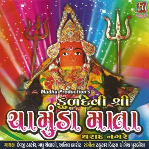 收听Devji Thakor的Amro Damro歌词歌曲