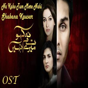 Shabana Kausar的專輯Na Kaho Tum Mere Nahi
