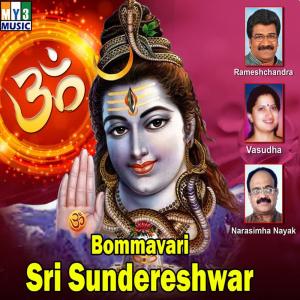 Album Bommavari Sri Sundereshwar from 