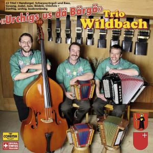 ดาวน์โหลดและฟังเพลง A üsnä Frauä z'lieb พร้อมเนื้อเพลงจาก Trio Wildbach
