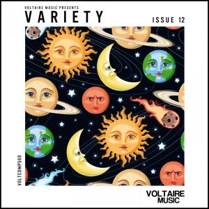 Various Artists的專輯Voltaire Music Pres. Variety Issue 12