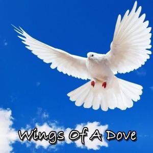 P.S. Paul Thangiah的專輯Wings of a Dove