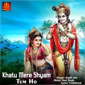 ดาวน์โหลดและฟังเพลง Khatu Mere Shyam Tum Ho พร้อมเนื้อเพลงจาก Anjali Jain