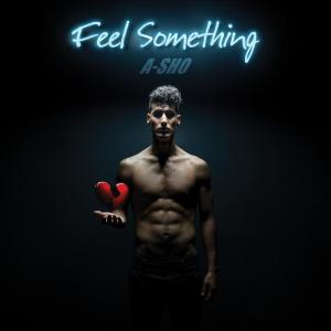 ดาวน์โหลดและฟังเพลง Feel Something (其他) พร้อมเนื้อเพลงจาก A-SHO